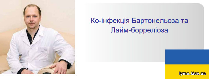 Ко-інфекція Бартонельоза та Лайм-борреліоза